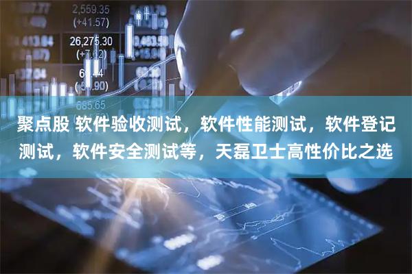 聚点股 软件验收测试，软件性能测试，软件登记测试，软件安全测试等，天磊卫士高性价比之选