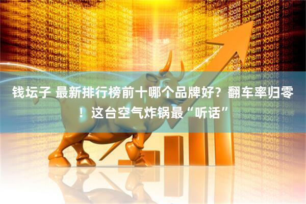 钱坛子 最新排行榜前十哪个品牌好？翻车率归零！这台空气炸锅最“听话”